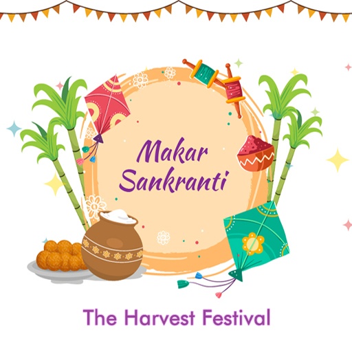 Makar Sankranti Collection