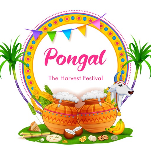 dmi-category-pongal